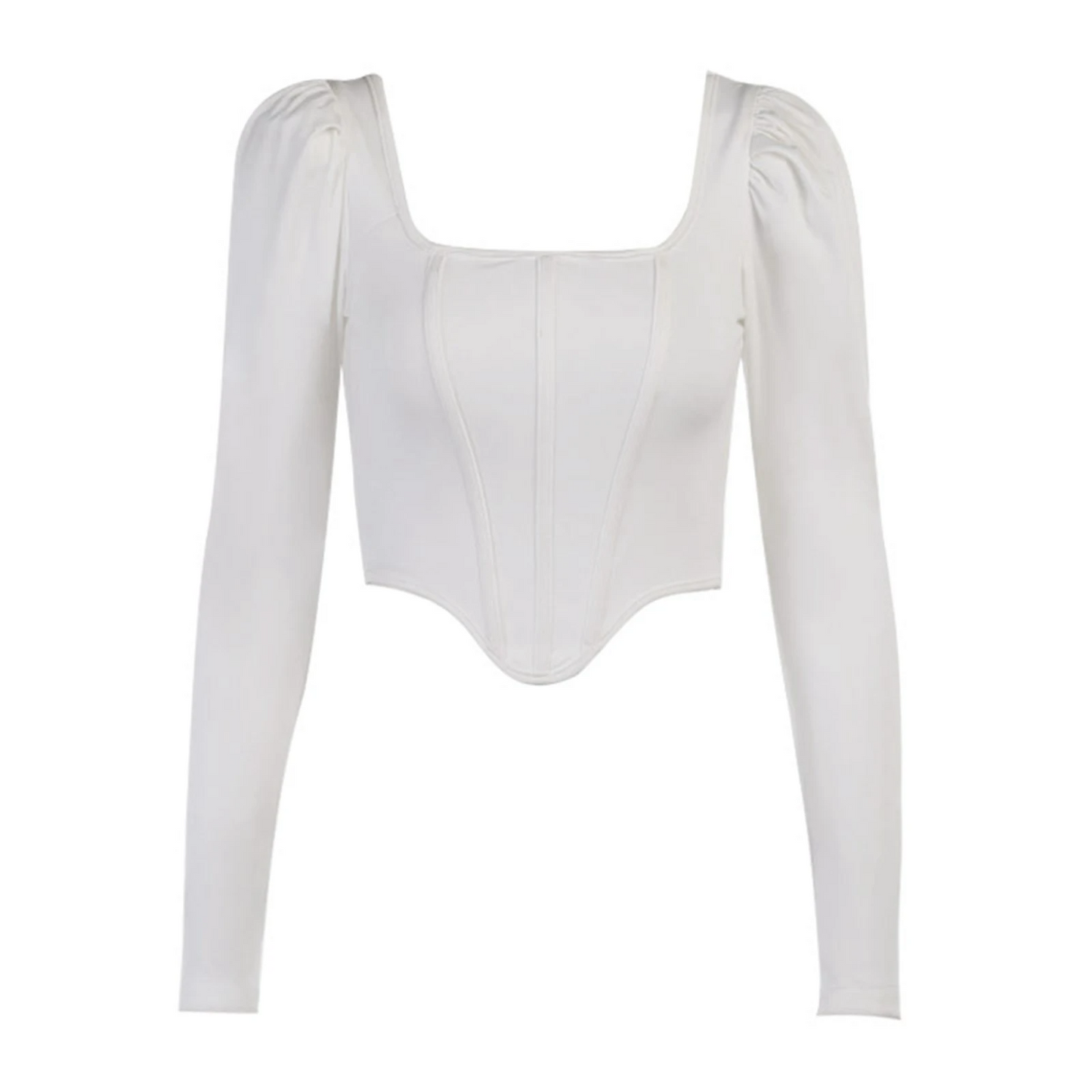 Luxe Gray Corset Top by Meqeiss